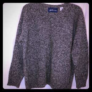 Express. V Neckline Sweater